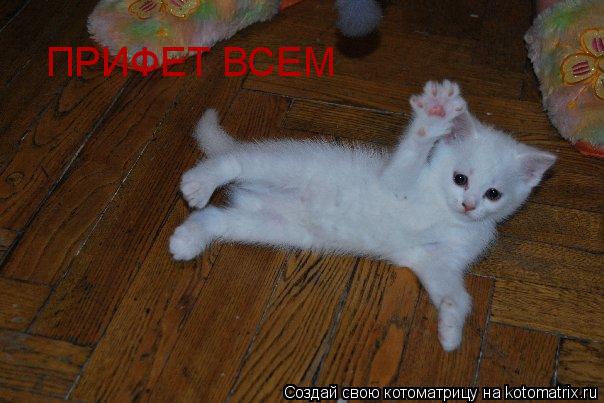 ПРИФЕТ ВСЕМ... Котоматрица: ПРИФЕТ ВСЕМ