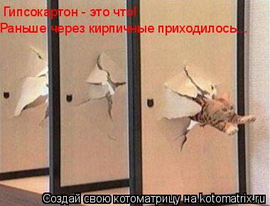 Котоматрица: Гипсокартон - это что! Раньше через кирпичные приходилось...