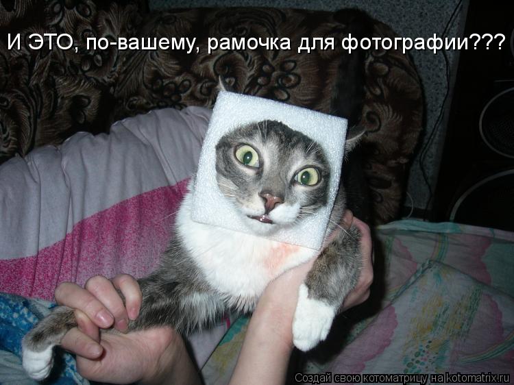И ЭТО, по-вашему, рамочка для фотографии???... Котоматрица: И ЭТО, по-вашему, рамочка для фотографии???