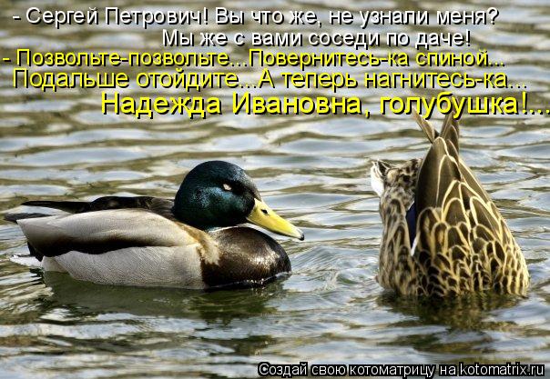 - Сергей Петрович! Вы что же, не узнали меня? Мы же с вами соседи по даче! - Позвольте-позвольте...По... Котоматрица: - Сергей Петрович! Вы что же, не узнали меня? Мы же с вами соседи по даче! - Позвольте-позвольте...Повернитесь-ка спиной... Подальше отойдите...А