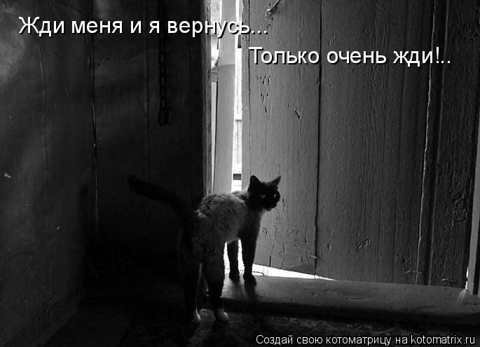 Котоматрица: Жди меня и я вернусь... Только очень жди!..