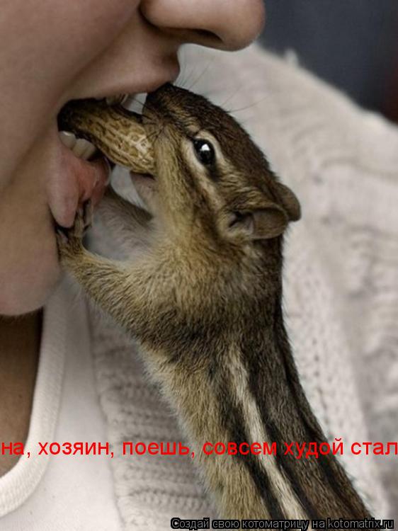 Котоматрица: на, хозяин, поешь, совсем худой стал