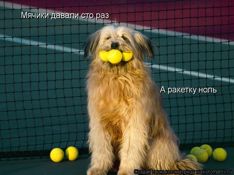 Котоматрица: Мячики давали сто раз А ракетку ноль