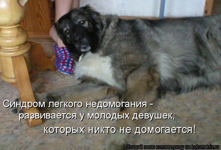 Котоматрица: Синдром легкого недомогания - развивается у молодых девушек,  которых никто не домогается!