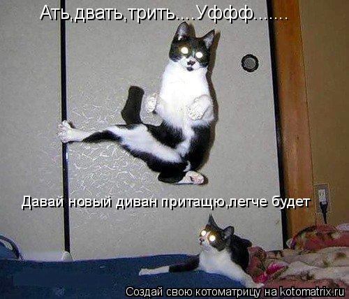 Котоматрица: Ать,двать,трить....Уффф....... Давай новый диван притащю,легче будет
