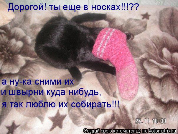 Котоматрица: Дорогой! ты еще в носках!!!?? а ну-ка сними их и швырни куда нибудь, я так люблю их собирать!!!