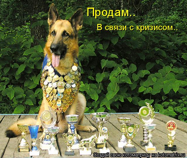 Котоматрица: Продам..  В связи с кризисом..