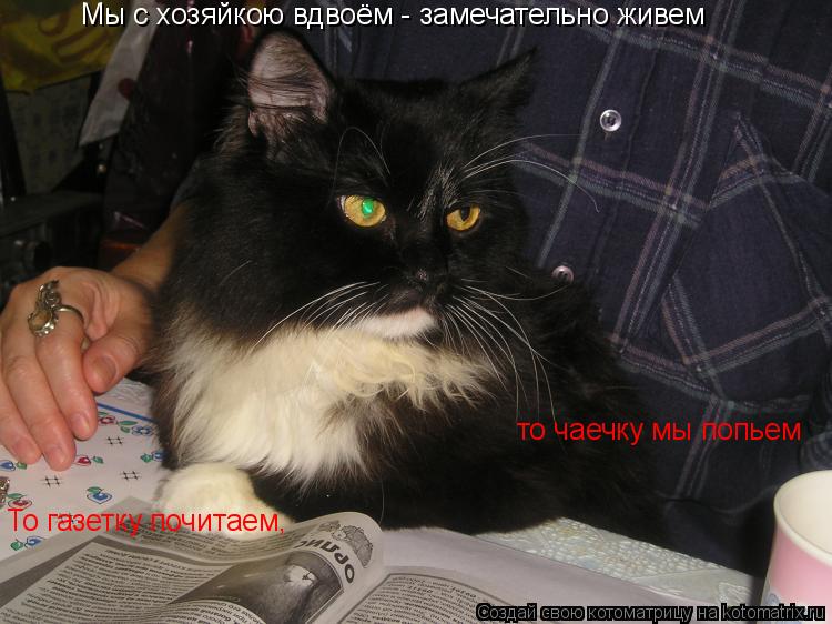 Котоматрица: Мы с хозяйкою вдвоём - замечательно живем То газетку почитаем,  то чаечку мы попьем