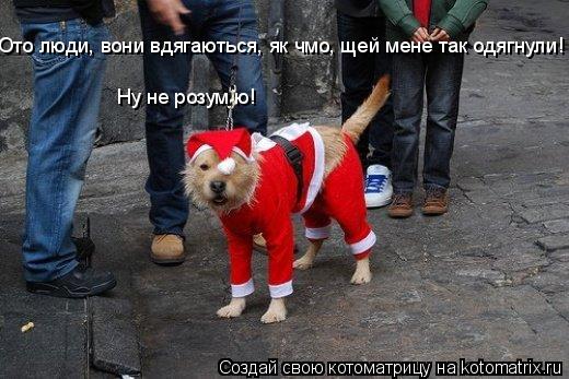 Котоматрица: Ото люди, вони вдягаються, як чмо, щей мене так одягнули!          Ну не розумію!