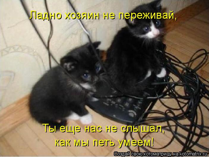 Котоматрица: Ладно хозяин не переживай, Ты еще нас не слышал, как мы петь умеем!