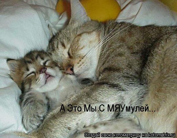 Котоматрица: А Это Мы С МЯУмулей...