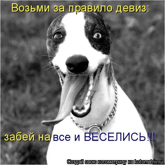 Возьми за правило девиз: забей на все и ВЕСЕЛИСЬ!!!... Котоматрица: Возьми за правило девиз: забей на все и ВЕСЕЛИСЬ!!!