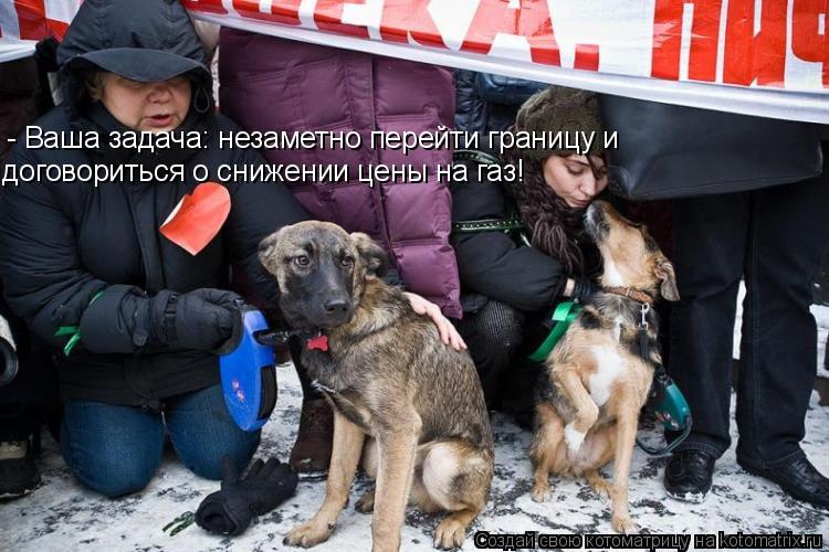 - Ваша задача: незаметно перейти границу и договориться о снижении цены на газ!... Котоматрица: - Ваша задача: незаметно перейти границу и договориться о снижении цены на газ!
