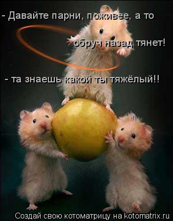 - Давайте парни, поживее, а то обруч назад тянет! - та знаешь какой ты тяжёлый!!... Котоматрица: - Давайте парни, поживее, а то обруч назад тянет! - та знаешь какой ты тяжёлый!!