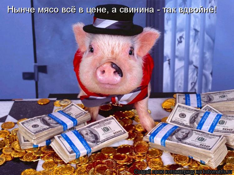 Нынче мясо всё в цене, а свинина - так вдвойне!... Котоматрица: Нынче мясо всё в цене, а свинина - так вдвойне!