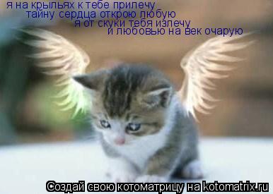 Котоматрица: я на крыльях к тебе прилечу тайну сердца открою любую я от скуки тебя излечу и любовью на век очарую