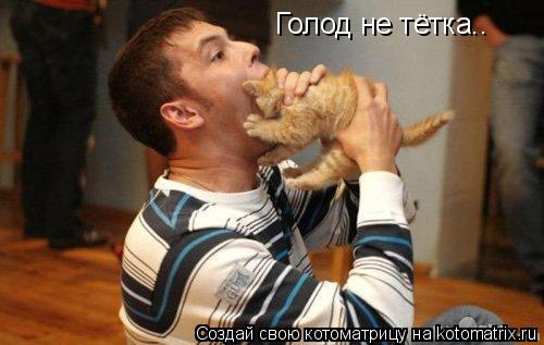 Голод не тётка..... Котоматрица: Голод не тётка..