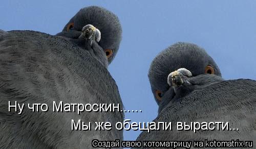 Ну что Матроскин...... Мы же обещали вырасти...... Котоматрица: Ну что Матроскин...... Мы же обещали вырасти...