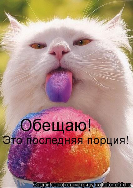 Обещаю! Это последняя порция!... Котоматрица: Обещаю! Это последняя порция!