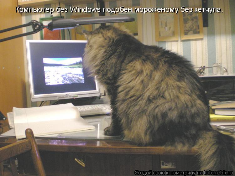 Котоматрица: Компьютер без Windows подобен мороженому без кетчупа.