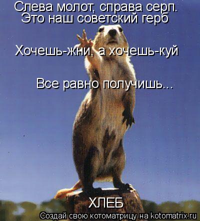 Слева молот, справа серп. Это наш советский герб Все равно получишь... Хочешь-жни, а хочешь-куй ХЛЕБ... Котоматрица: Слева молот, справа серп. Это наш советский герб Все равно получишь... Хочешь-жни, а хочешь-куй ХЛЕБ