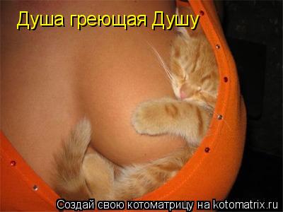 Душа греющая Душу... Котоматрица: Душа греющая Душу