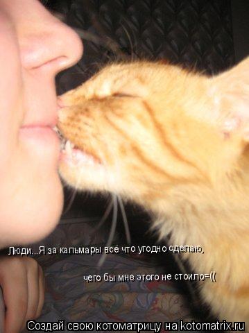 Котоматрица: Люди...Я за кальмары всё что угодно сделаю Люди...Я за кальмары всё что угодно сделаю Люди...Я за кальмары всё что угодно сделаю Люди...Я за каль