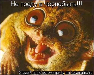 Не поеду в Чернобыль!!!... Котоматрица: Не поеду в Чернобыль!!!