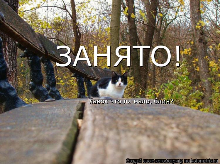 ЗАНЯТО! лавок что ли мало, блин?... Котоматрица: ЗАНЯТО! лавок что ли мало, блин?