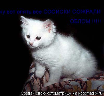 ну вот опять все СОСИСКИ СОЖРАЛИ ОБЛОМ !!!!!... Котоматрица: ну вот опять все СОСИСКИ СОЖРАЛИ ОБЛОМ !!!!!