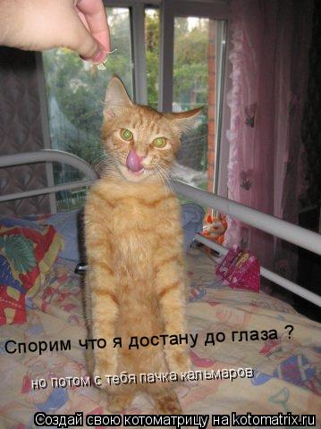 Спорим что я достану до глаза ? но потом с тебя пачка кальмаров... Котоматрица: Спорим что я достану до глаза ? но потом с тебя пачка кальмаров