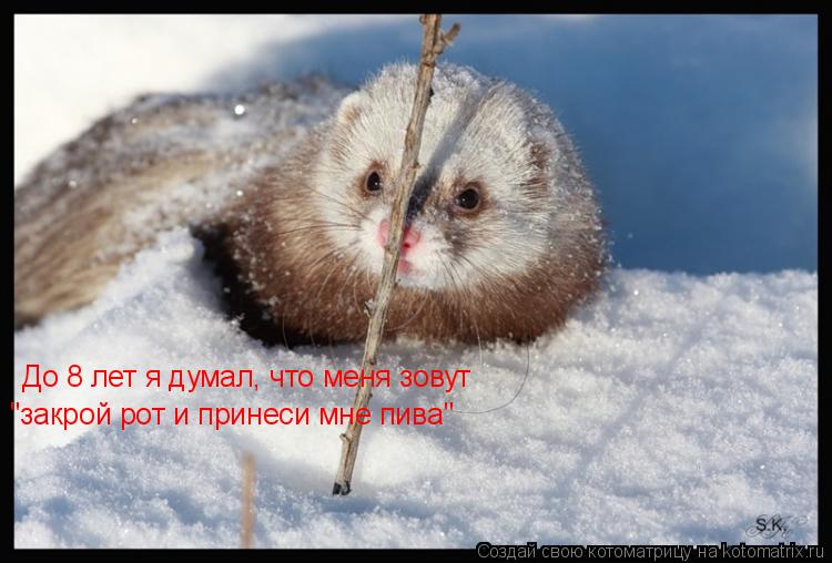 Котоматрица: До 8 лет я думал, что меня зовут  "закрой рот и принеси мне пива"