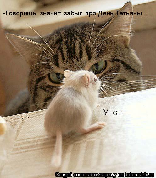 -Говоришь, значит, забыл про День Татьяны... -Упс...... Котоматрица: -Говоришь, значит, забыл про День Татьяны... -Упс...