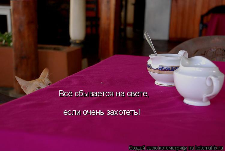 Всё сбывается на свете, если очень захотеть!... Котоматрица: Всё сбывается на свете, если очень захотеть!
