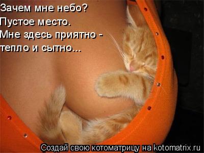 Котоматрица: Зачем мне небо? Мне здесь приятно -  Пустое место. тепло и сытно...