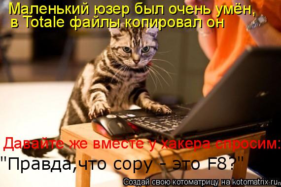 в Totale файлы копировал он Давайте же вместе у хакера спросим: "Правда,что copy - это F8?" Маленький... Котоматрица: в Totale файлы копировал он Давайте же вместе у хакера спросим: "Правда,что copy - это F8?" Маленький юзер был очень умён,