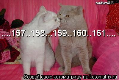 ....157..158...159..160..161....... Котоматрица: ....157..158...159..160..161....
