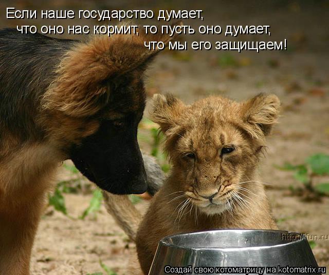 Если наше государство думает, что оно нас кормит, то пусть оно думает, что мы его защищаем!... Котоматрица: Если наше государство думает, что оно нас кормит, то пусть оно думает, что мы его защищаем!
