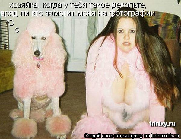хозяйка, когда у тебя такое декольте, вряд ли кто заметит меня на фотографии О о... Котоматрица: хозяйка, когда у тебя такое декольте, вряд ли кто заметит меня на фотографии О о