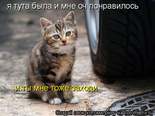 я тута была и мне оч понравилось и ты мне тоже заходи... Котоматрица: я тута была и мне оч понравилось и ты мне тоже заходи