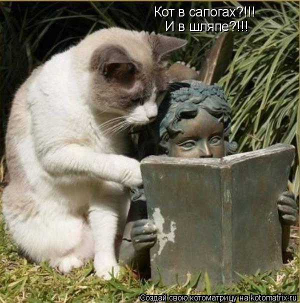 Котоматрица: Кот в сапогах?!!! И в шляпе?!!!