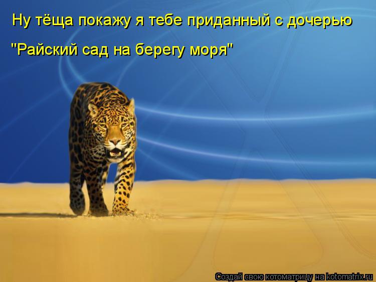 Ну тёща покажу я тебе приданный с дочерью "Райский сад на берегу моря"... Котоматрица: Ну тёща покажу я тебе приданный с дочерью "Райский сад на берегу моря"