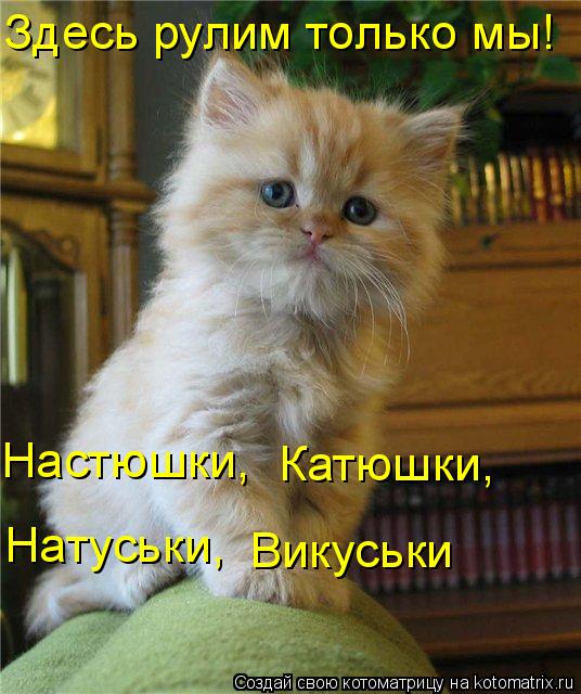 Здесь рулим только мы! Настюшки, Катюшки, Натуськи, Викуськи... Котоматрица: Здесь рулим только мы! Настюшки, Катюшки, Натуськи, Викуськи