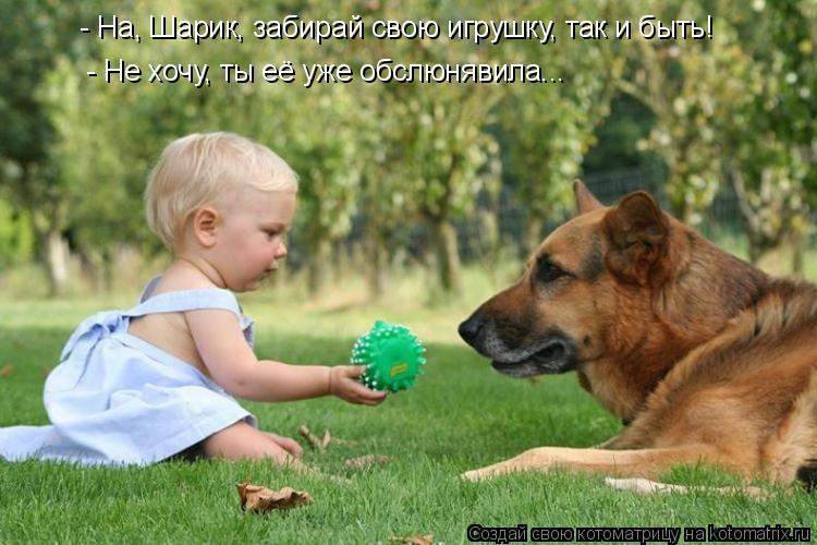 - На, Шарик, забирай свою игрушку, так и быть! - Не хочу, ты её уже обслюнявила...... Котоматрица: - На, Шарик, забирай свою игрушку, так и быть! - Не хочу, ты её уже обслюнявила...