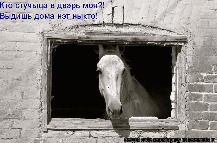 Кто стучыца в двэрь моя?! Выдишь дома нэт ныкто!... Котоматрица: Кто стучыца в двэрь моя?! Выдишь дома нэт ныкто!