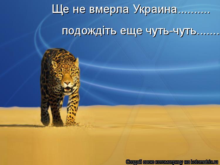 Котоматрица: Ще не вмерла Украина.......... подождiть еще чуть-чуть...........