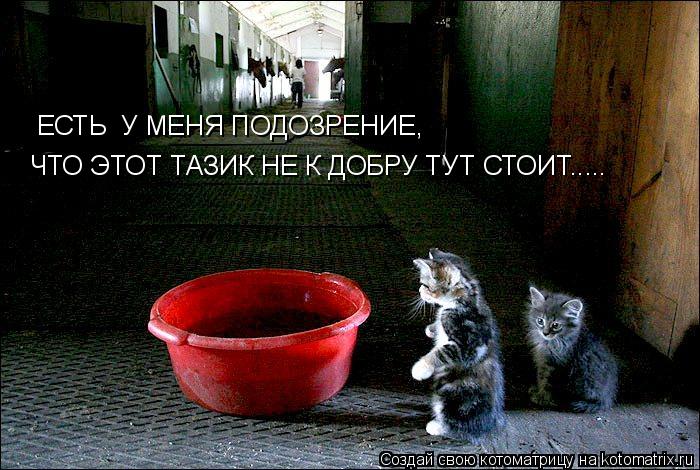 ЕСТЬ У МЕНЯ ПОДОЗРЕНИЕ, ЧТО ЭТОТ ТАЗИК НЕ К ДОБРУ ТУТ СТОИТ........ Котоматрица: ЕСТЬ У МЕНЯ ПОДОЗРЕНИЕ, ЧТО ЭТОТ ТАЗИК НЕ К ДОБРУ ТУТ СТОИТ.....