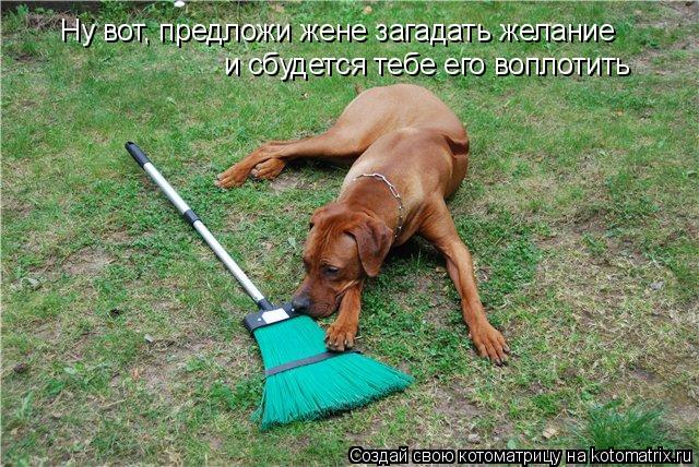Ну вот, предложи жене загадать желание и сбудется тебе его воплотить... Котоматрица: Ну вот, предложи жене загадать желание и сбудется тебе его воплотить