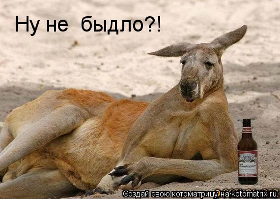 Котоматрица: Ну не  быдло?!