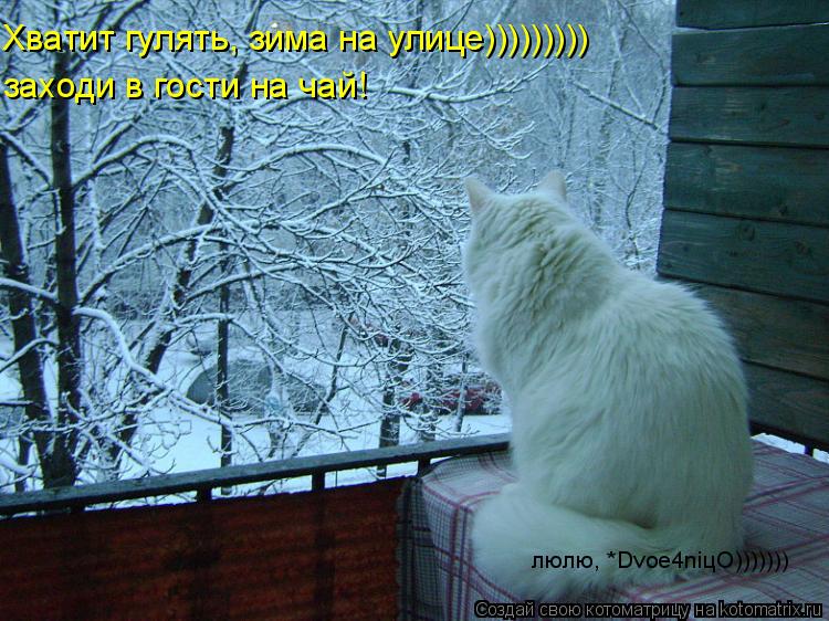 Хватит гулять, зима на улице))))))))) заходи в гости на чай! люлю, *Dvoe4niцO)))))))... Котоматрица: Хватит гулять, зима на улице))))))))) заходи в гости на чай! люлю, *Dvoe4niцO)))))))
